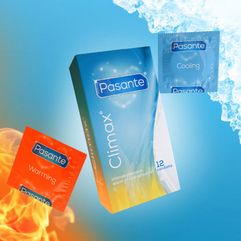 Pasante Climax Box of 12