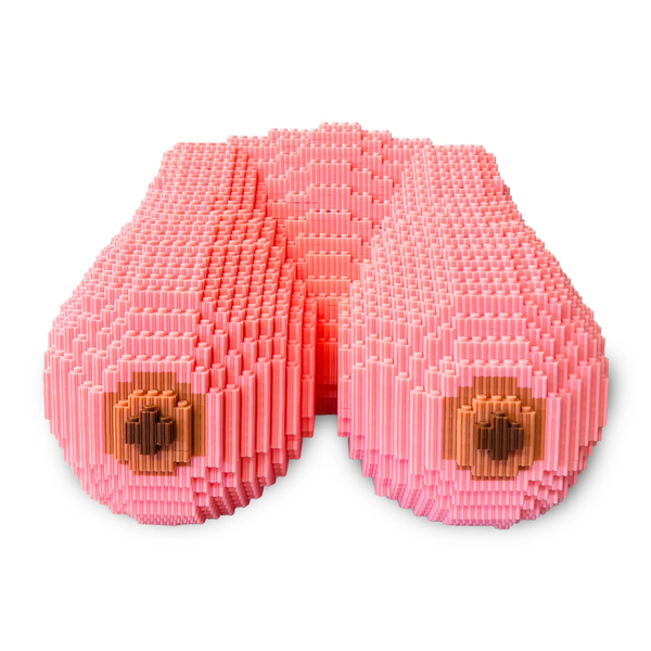 Front studio shot of the fully assembled pink 3D block sculpture of breasts built from interlocking mini plastic bricks.