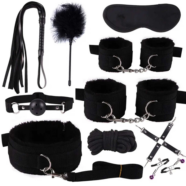 Full Hidden Desire Chest BDSM set laid out, including collar, cuffs, whip, gag, tickler, blindfold, rope, cross straps and clamps.